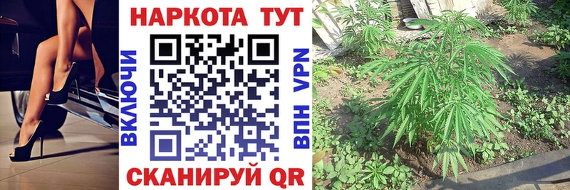 Наркотические вещества Ардон Конопля APVP ГАШ Меф мяу мяу