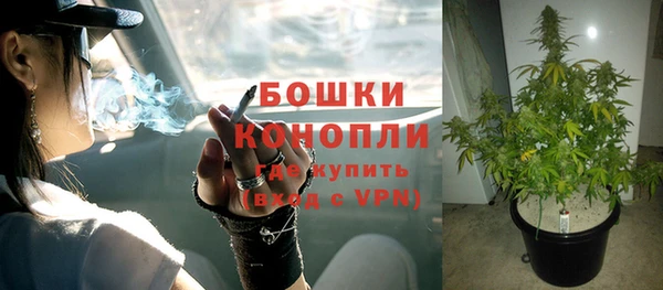 стаф Лихославль